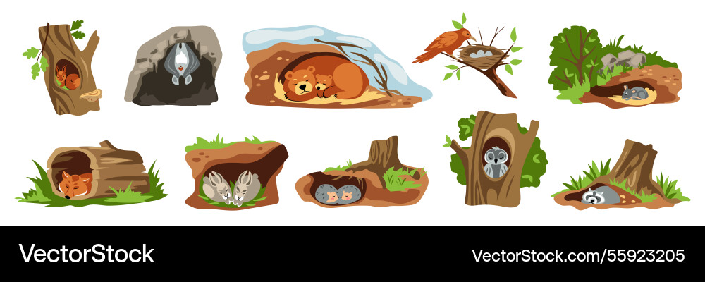 Animal on tree forest bird nest hollow as owl Animal on tree forest bird nest hollow as owl vector image