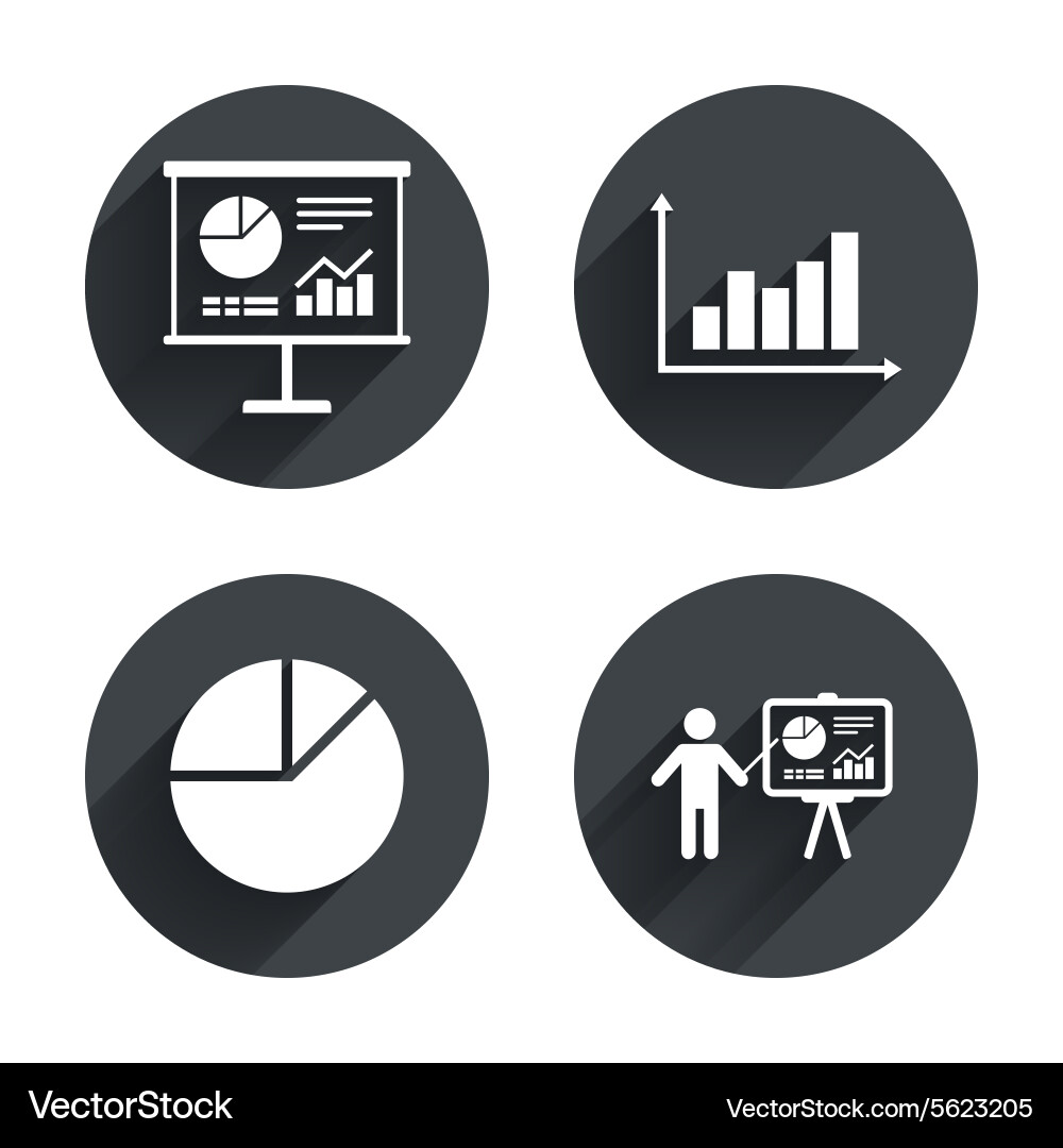 Pie Chart Data Presentation vector image