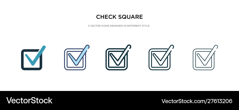 Check square icon in different style two colored Vector Image