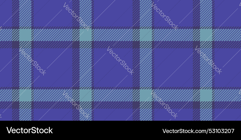 Day fabric textile check elementary pattern Day fabric textile check elementary pattern Vector Image