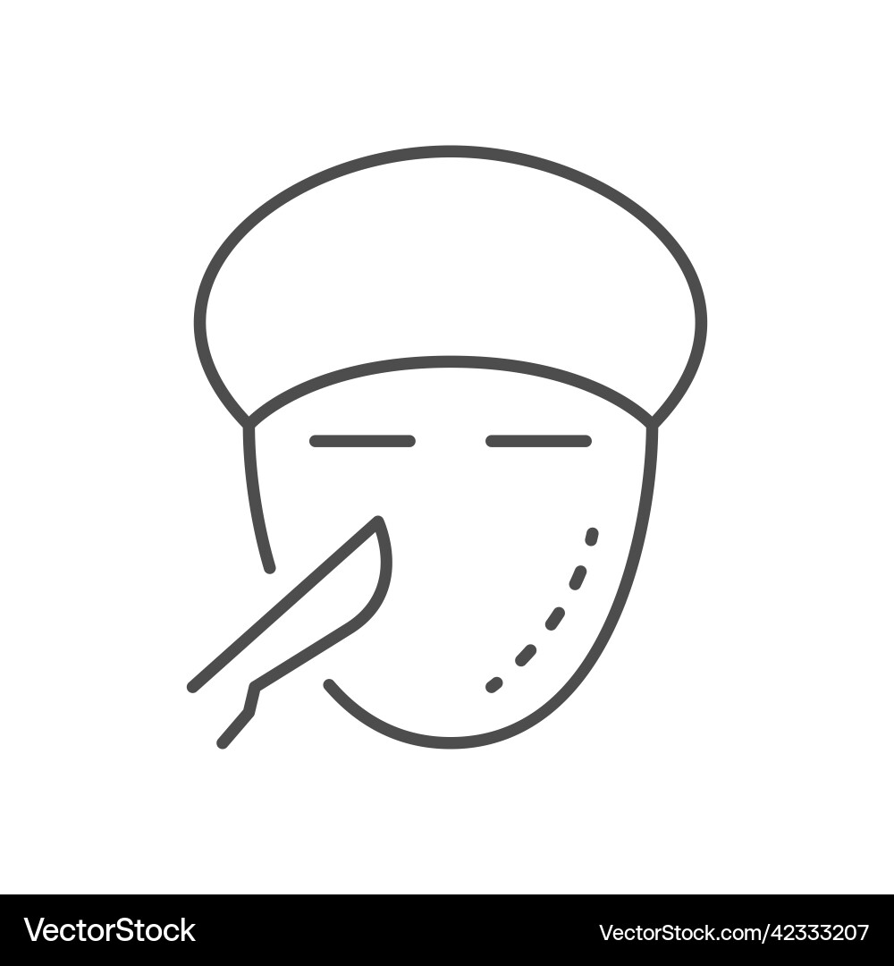 Face plastic surgery line icon Face plastic surgery line icon vector image