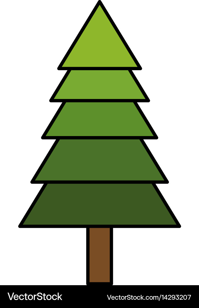 Pine tree icon image vector image