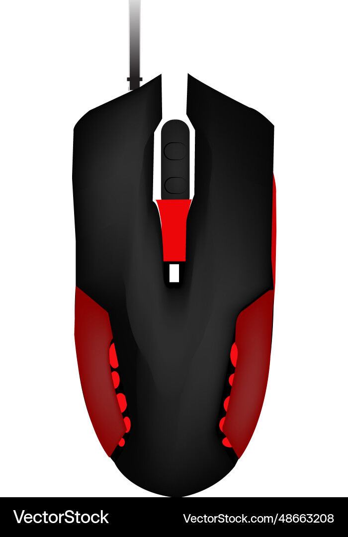 Image of computer mouse Vector Image