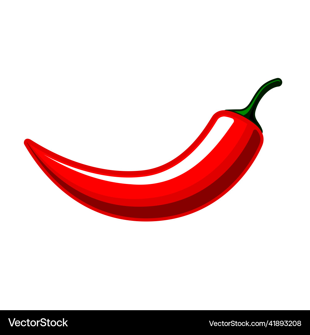 Red hot natural chili pepper pod Red hot natural chili pepper pod vector image