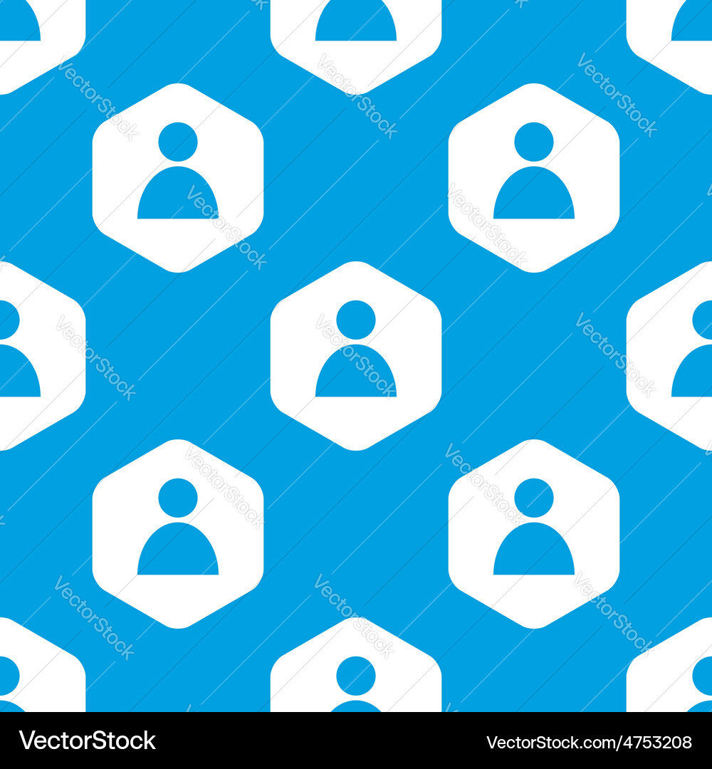 User hexagon pattern vector image