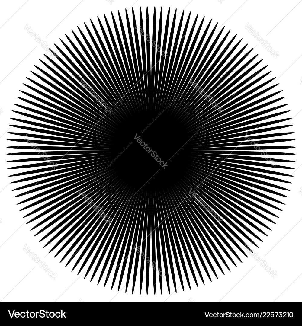 Dynamic Starburst Radial Pattern vector image
