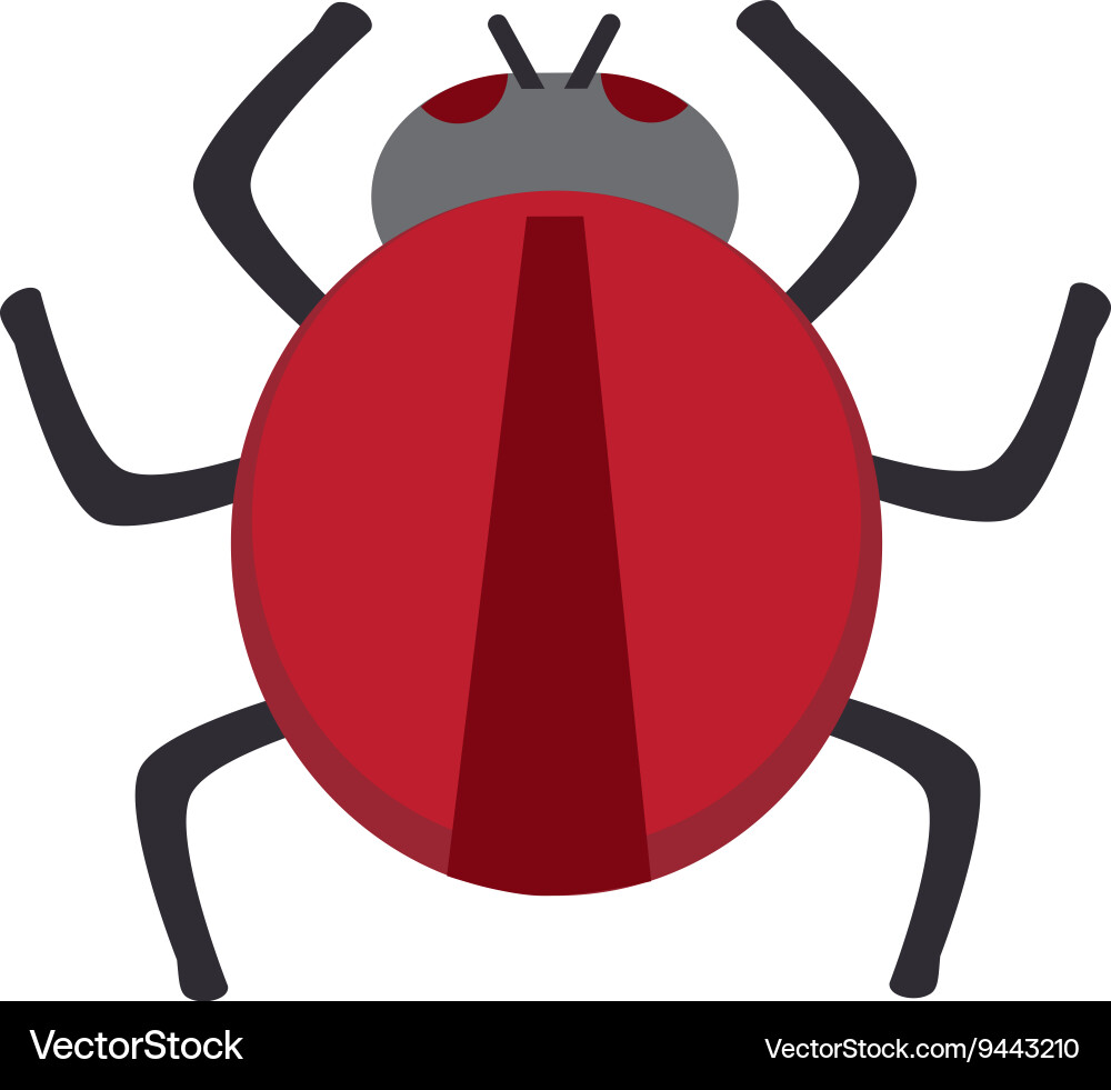 Red round bug vector image