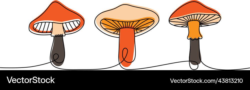 Set of mushroom one line colored continuous Set of mushroom one line colored continuous Vector Image