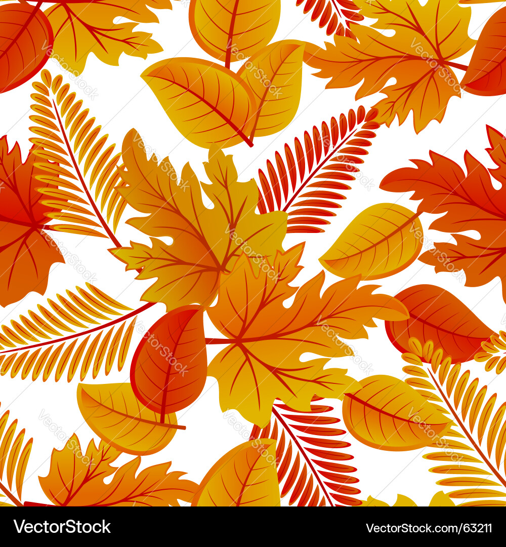 Nature pattern vector image
