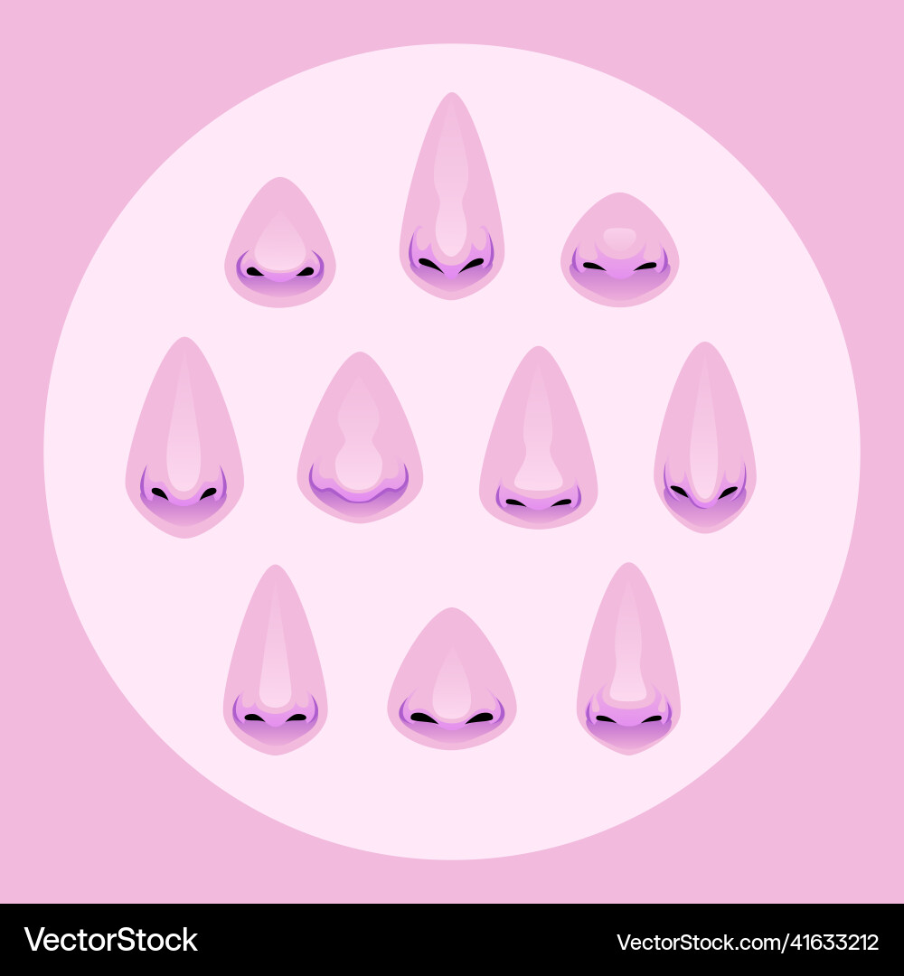 Set of different noses face part Set of different noses face part vector image