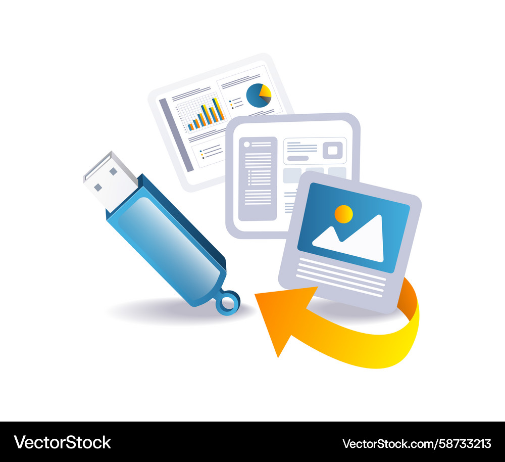 Flash Drive Data Storage Vector Image