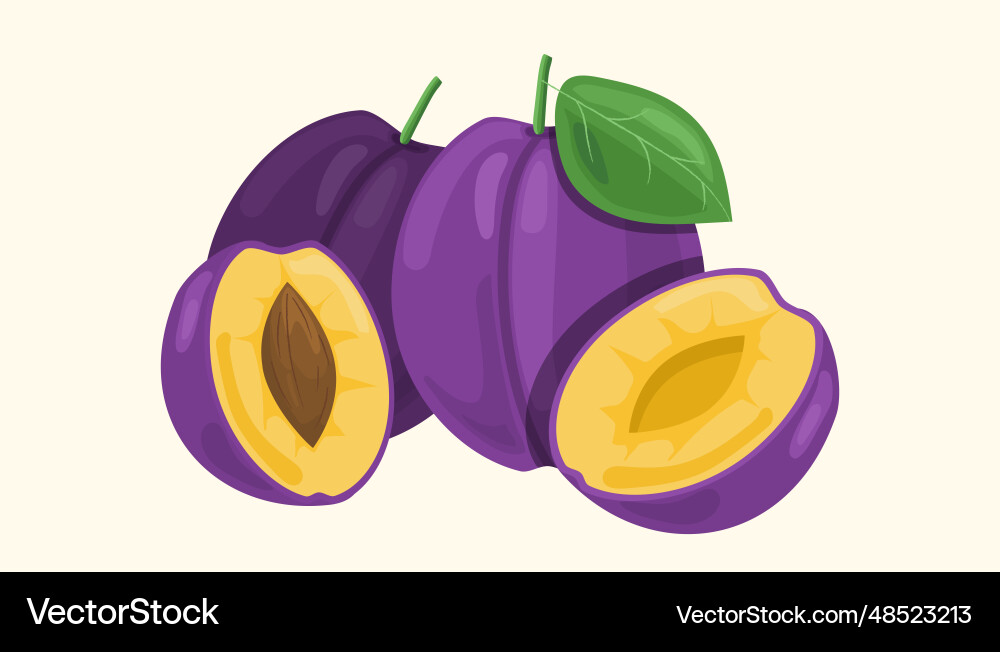 Set of plum with slices Set of plum with slices vector image