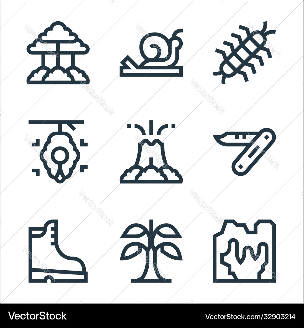Jungle line icons linear set quality vector image