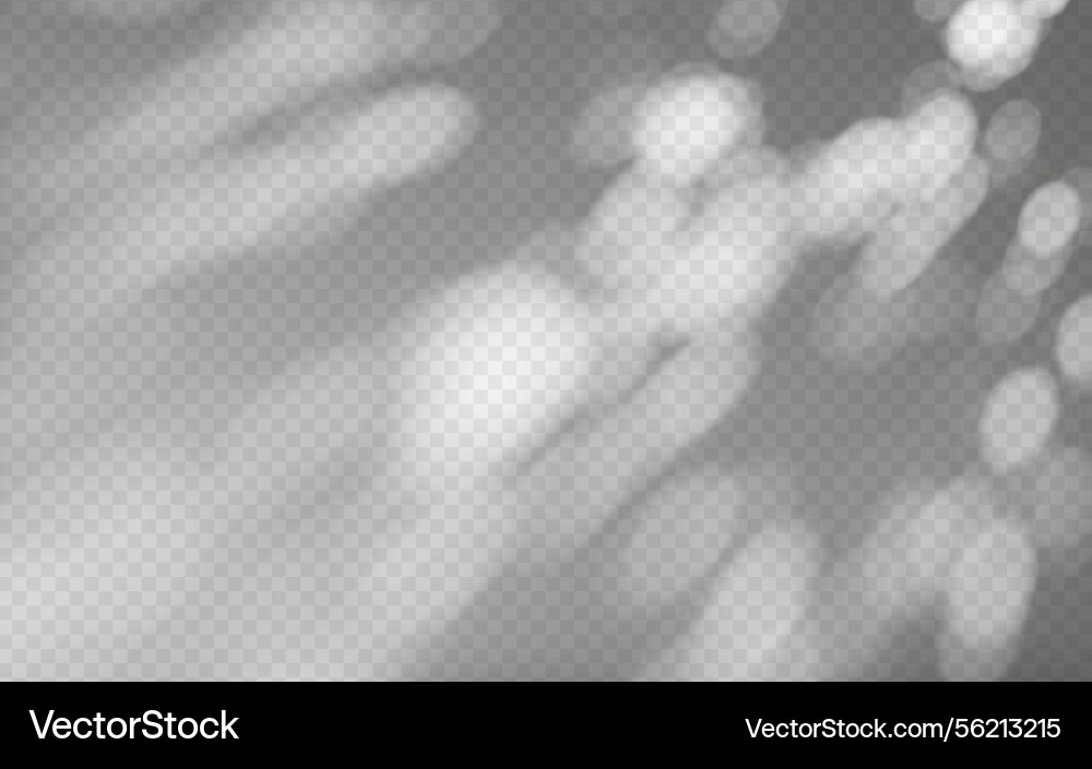 Abstract shadow overlay from tree branch Abstract shadow overlay from tree branch vector image