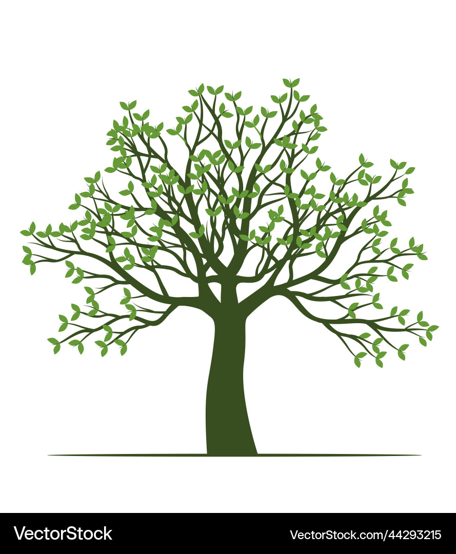 Shape of tree with leaves outline vector image