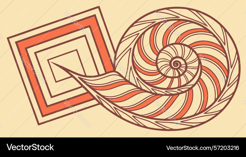 Abstract spiral shell geometric pattern design vector image
