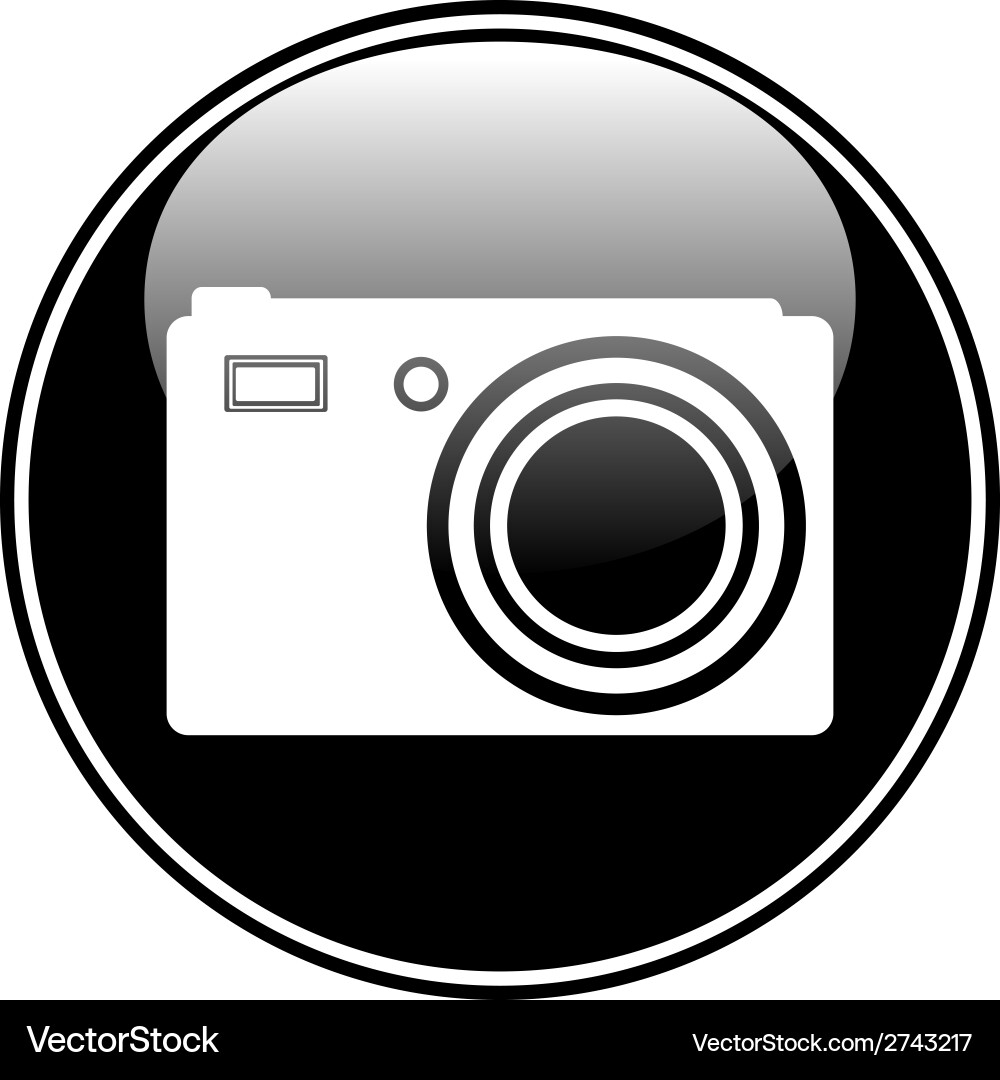 Camera button Vector Image