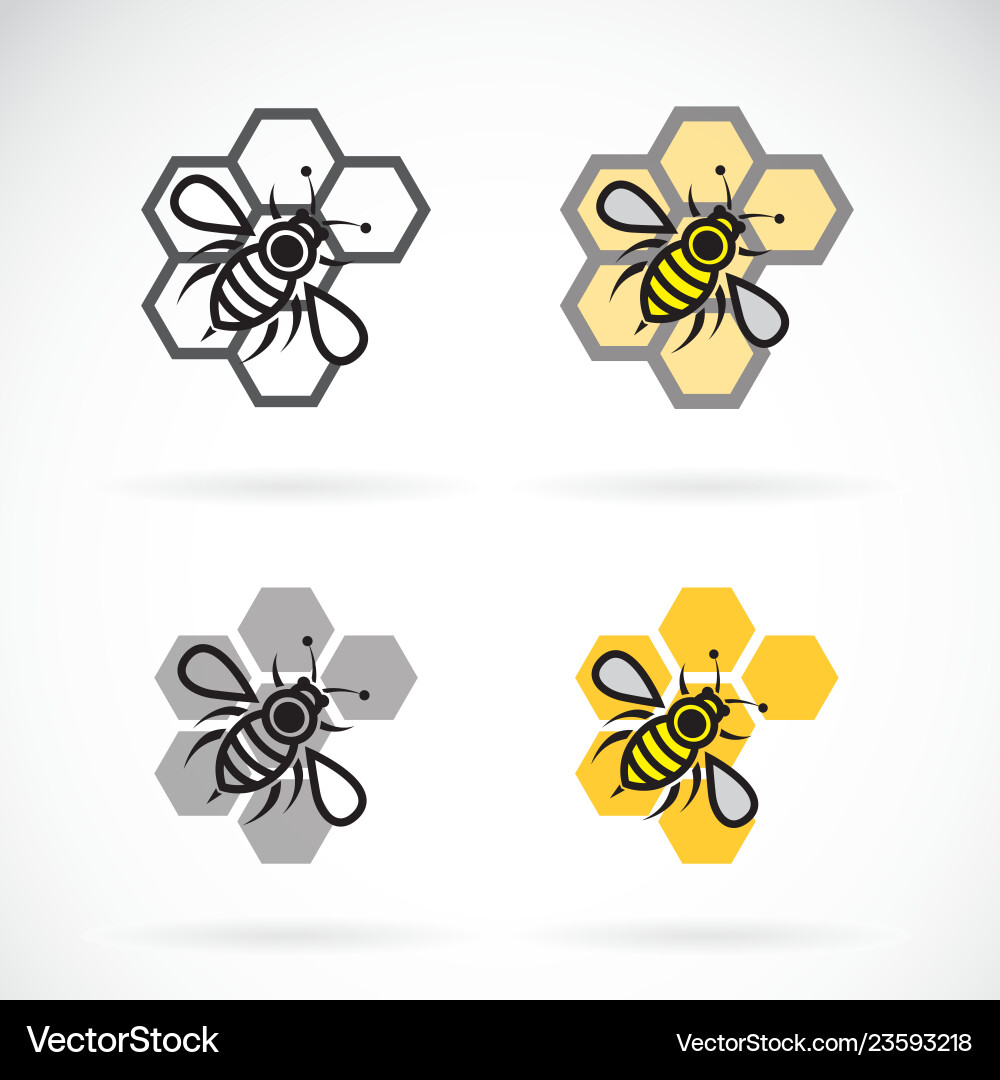 Bienen- und Wabendesign auf weißem Hintergrund Bienen- und Wabendesign auf weißem Hintergrund vektorbild