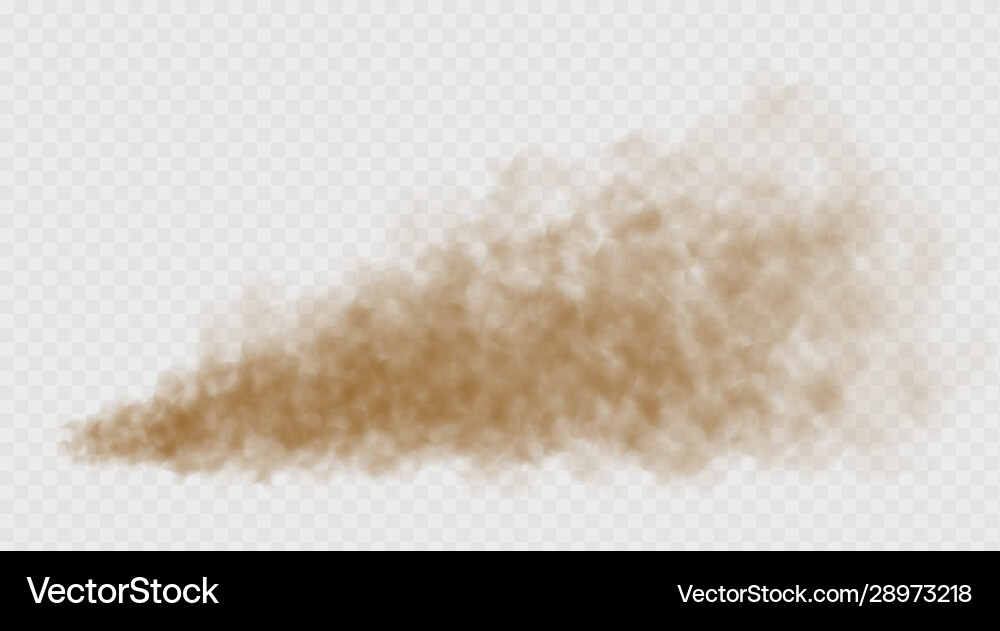 Dust cloud isolated on transparent background Vector Image