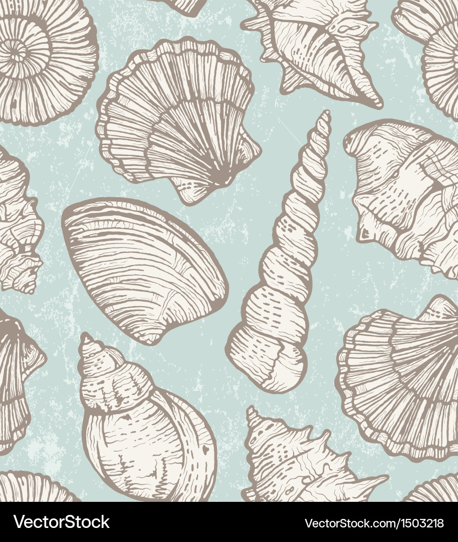 Seashell Pattern - Ocean Texture vector image