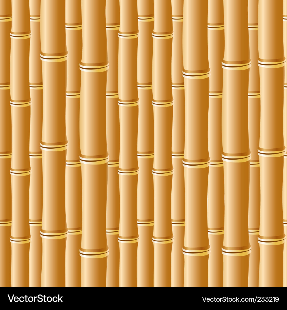 Bamboo Texture Background Vector Image