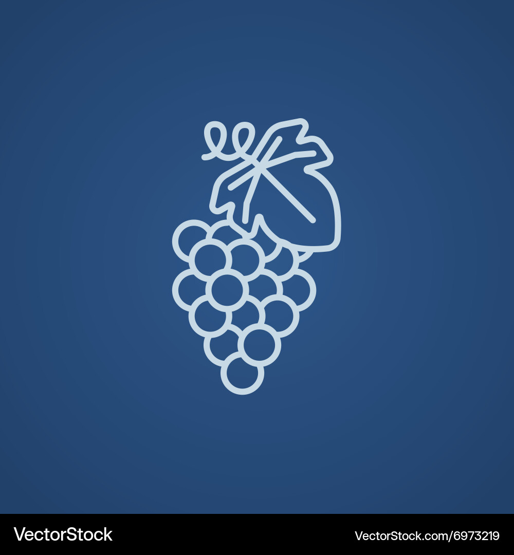 Grape line icon Vector Image