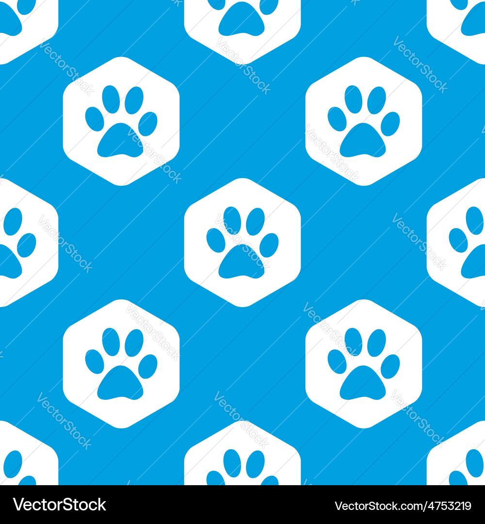 Paw hexagon pattern Vector Image
