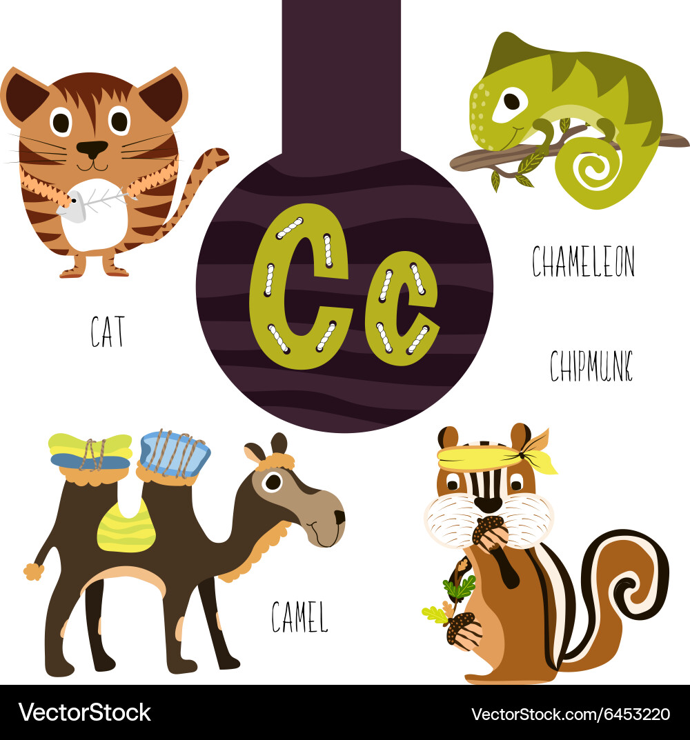 Animal Alphabet C Set Vector Image