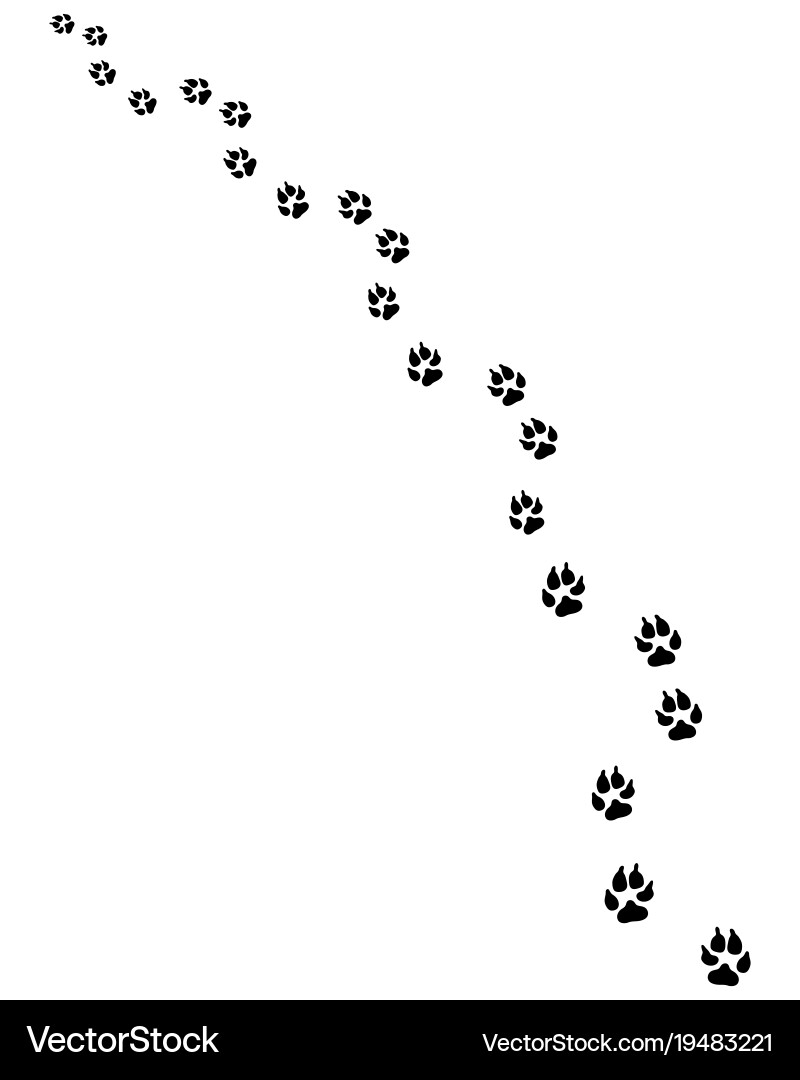 Dog Paw Prints in Sand Vector Image