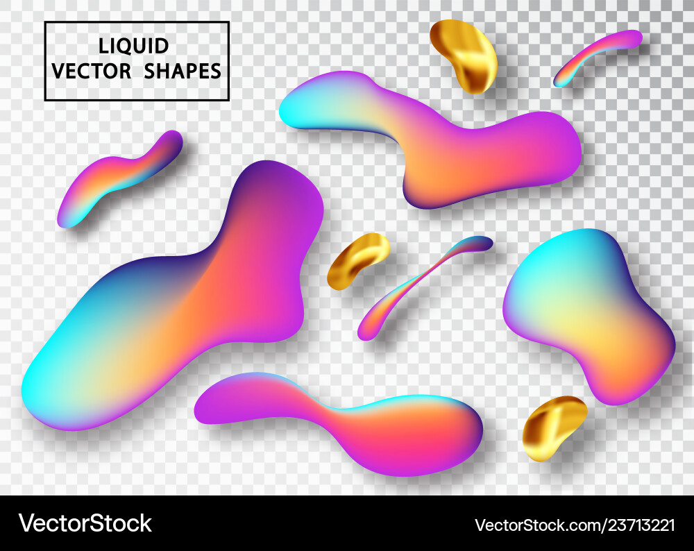 Fluid Shape Abstract Layout vector image