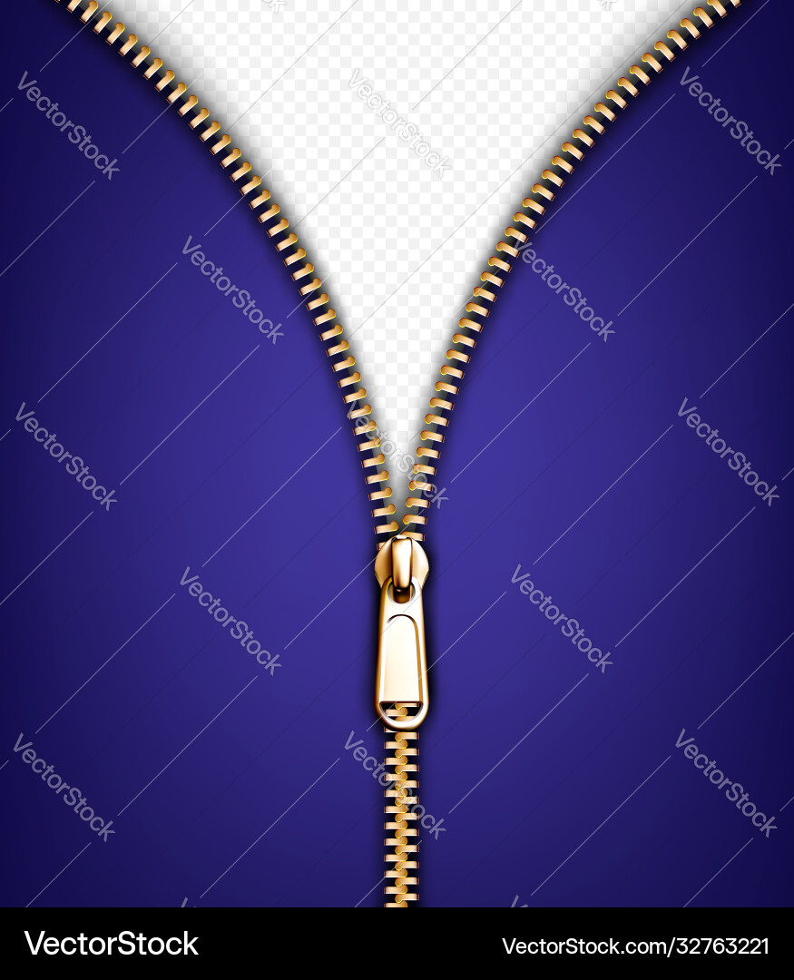 Zip fastener open gold metal zipper with puller Zip fastener open gold metal zipper with puller vector image