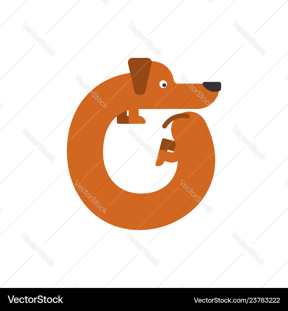 Letter o is dog pet font dachshund alphabet Letter o is dog pet font dachshund alphabet vector image