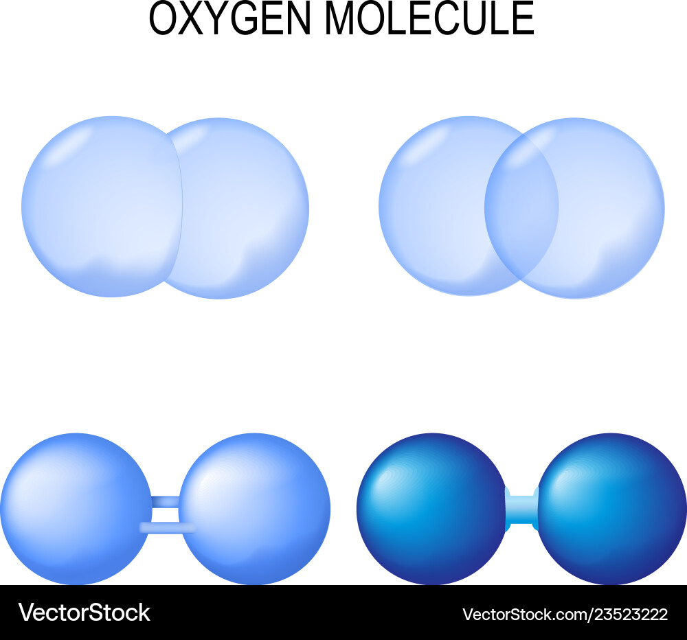 Structure of oxygen molecule set different Structure of oxygen molecule set different vector image