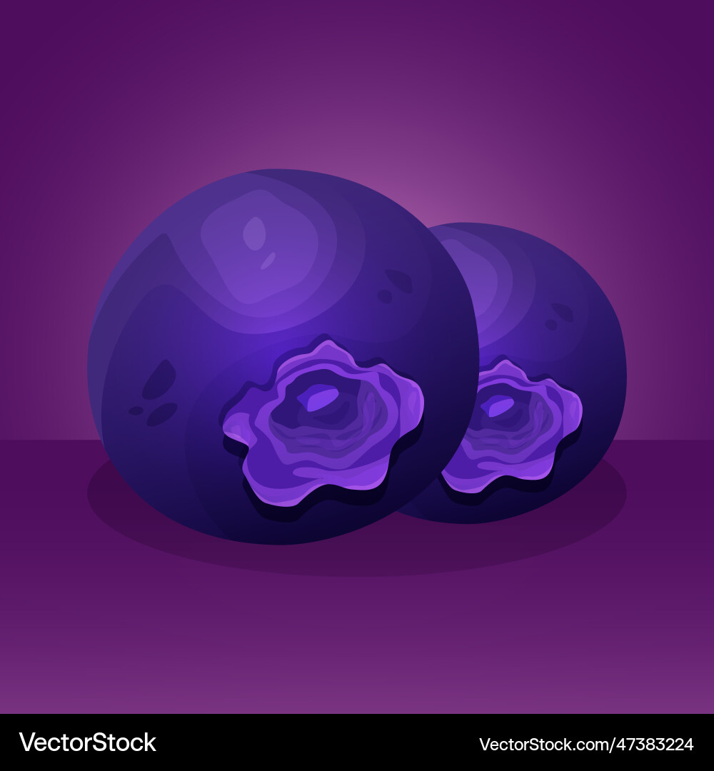 Grape fruit with gradient color Vector Image