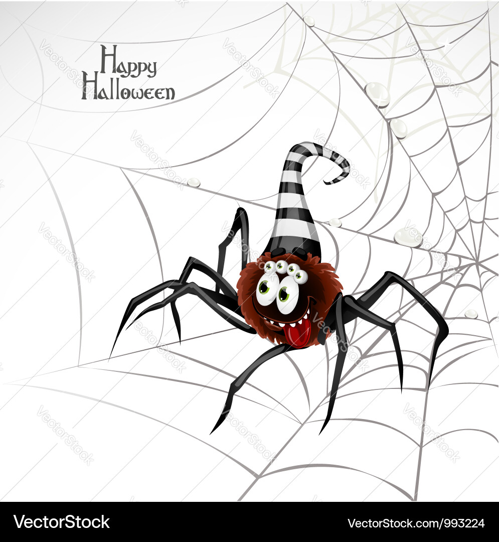 Halloween Spider Web Banner Vector Image