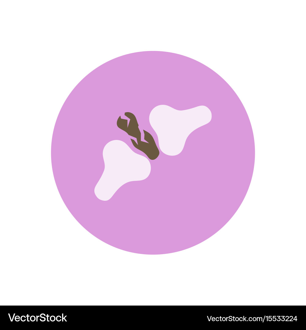 Stylish icon in color circle bone fracture vector image