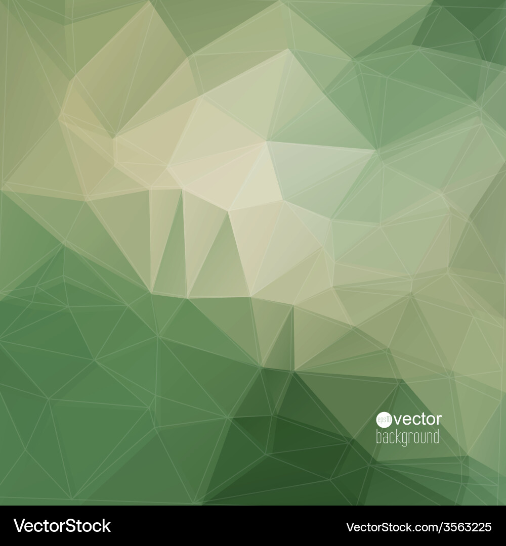 Abstract background with triangles and polygon vector image