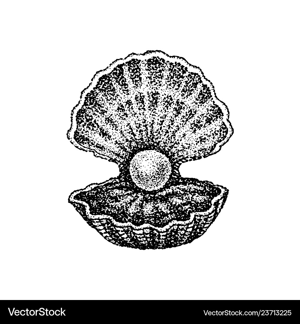 Dotwork Shell with Pearl Vector Image
