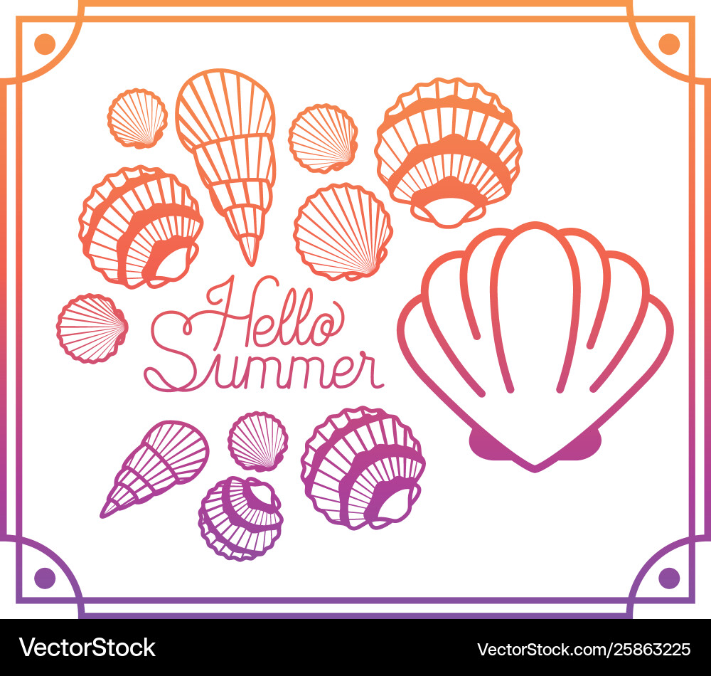 Hello summer label with colorful frame Vector Image