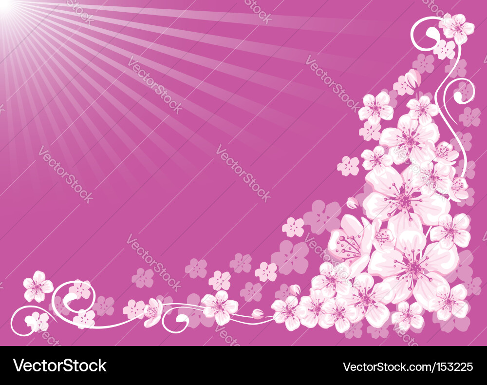 Spring background vector image