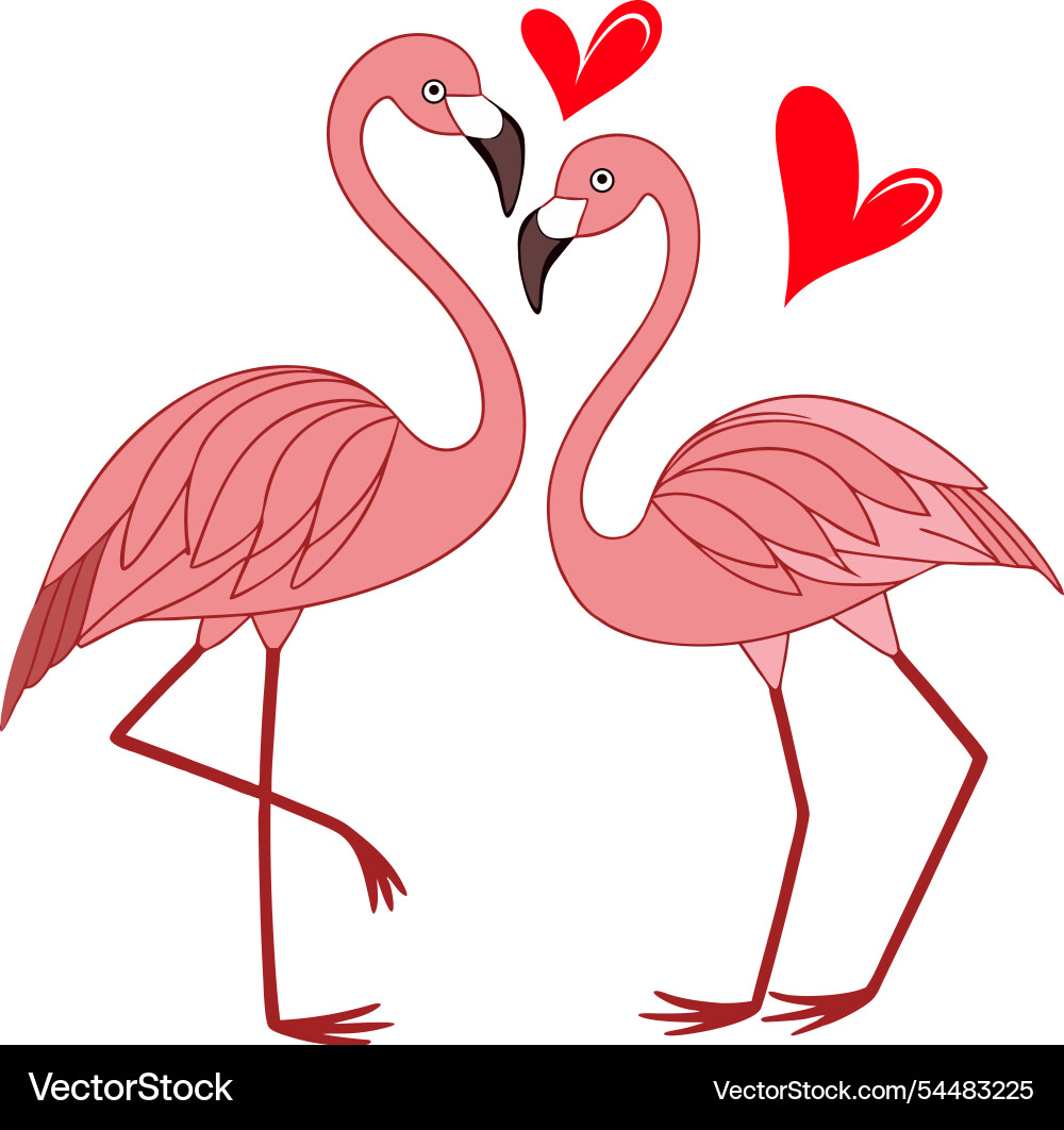 Two flamingos facing each other Vector Image