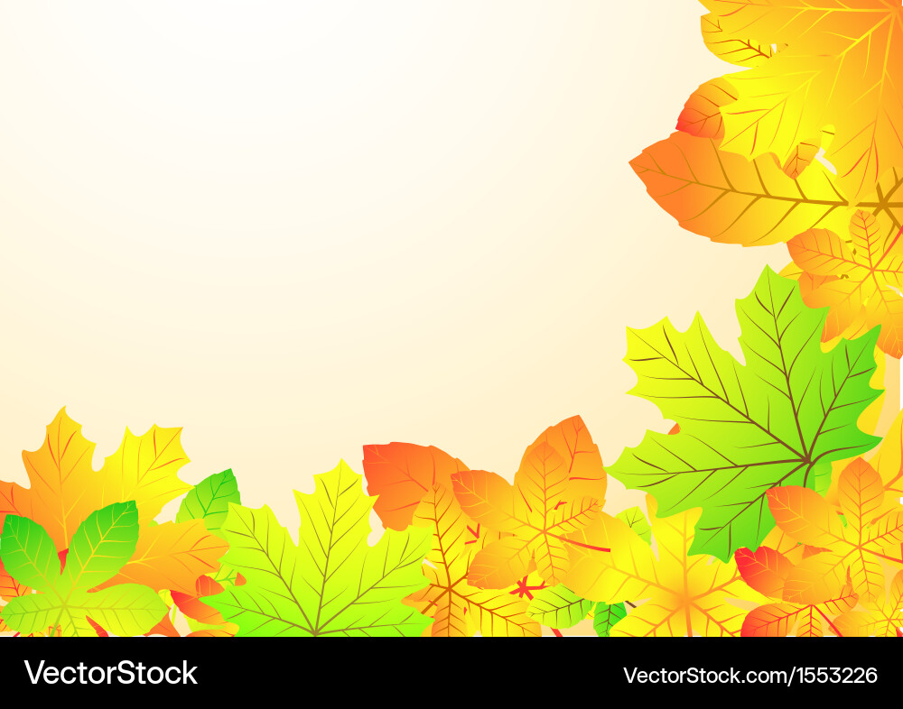 Autumn leaf background Royalty Free Vector Image