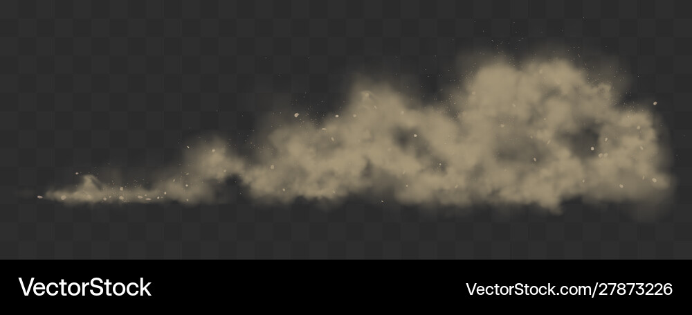 Road dust cloud from under wheels vector image