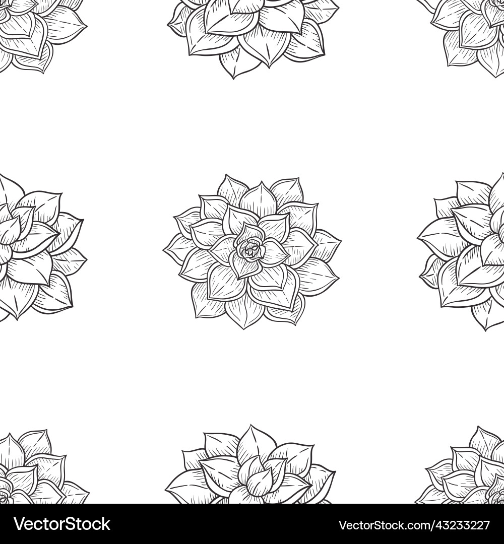 Abstract seamless pattern with echeveria Vector Image