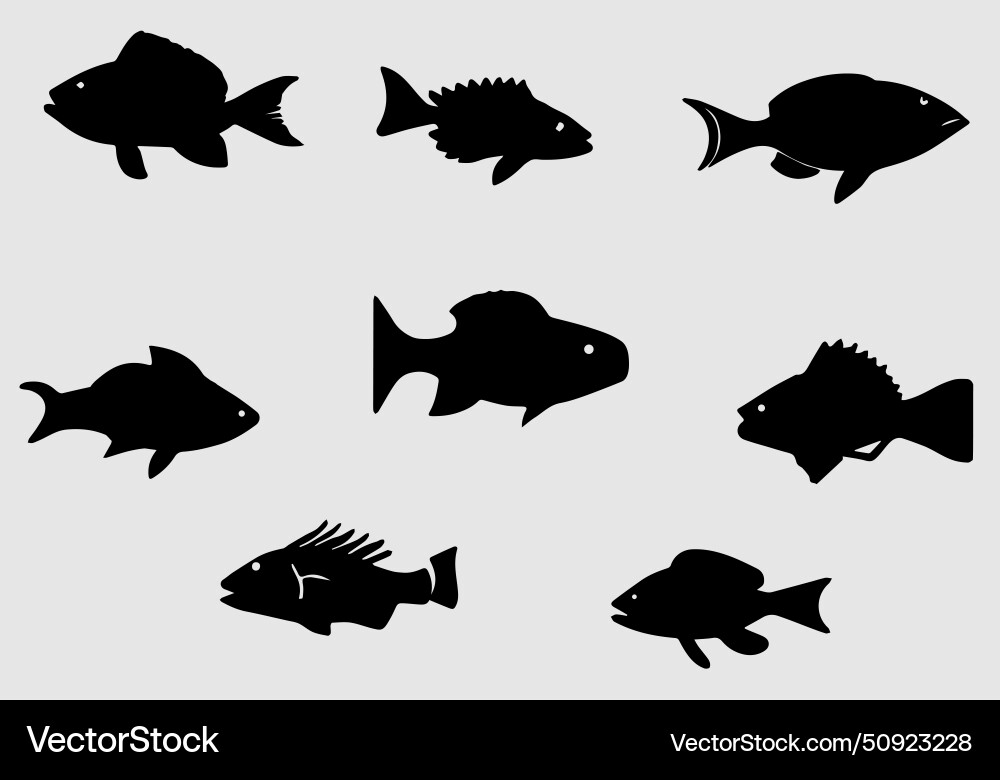 Cubera snapper minimal icon design Vector Image