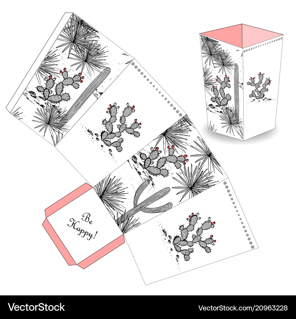 Cute popcorn box with hand drawn sketch cactus Vector Image