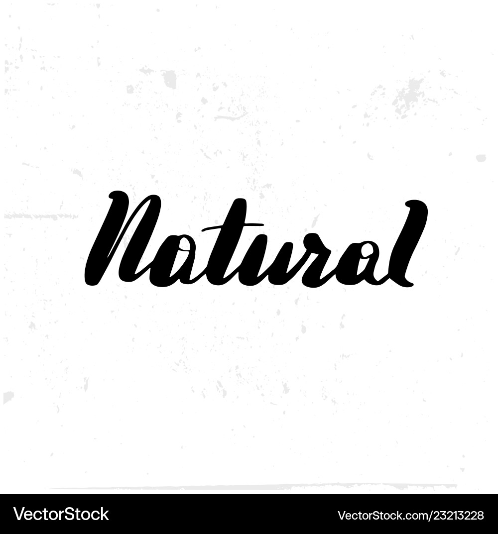 Inspirational handwritten brush lettering Inspirational handwritten brush lettering vector image