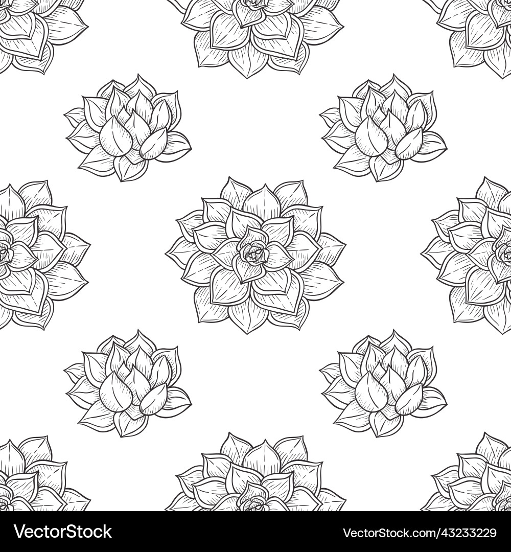 Abstract seamless pattern with echeveria Vector Image
