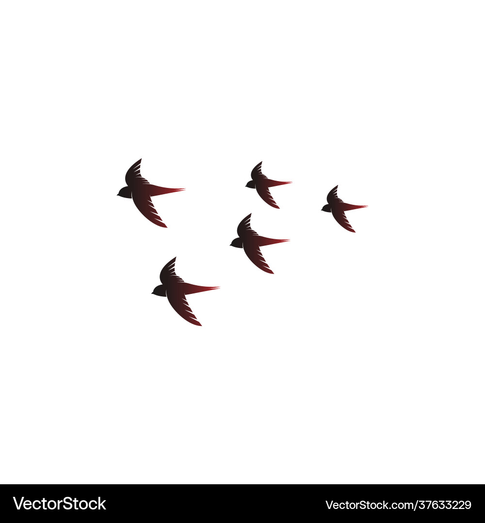 Simple design swift bird logo icon template Vector Image