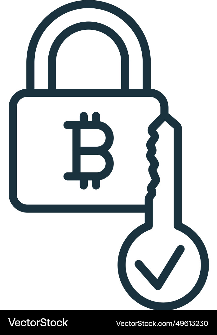 Public key cryptography icon monochrome simple Public key cryptography icon monochrome simple vector image